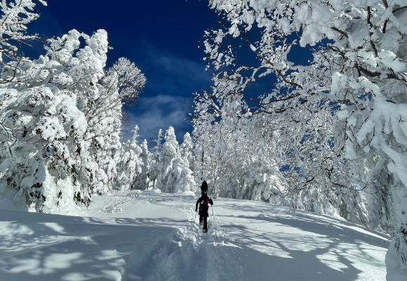 Permanent Union | フルマークスストア