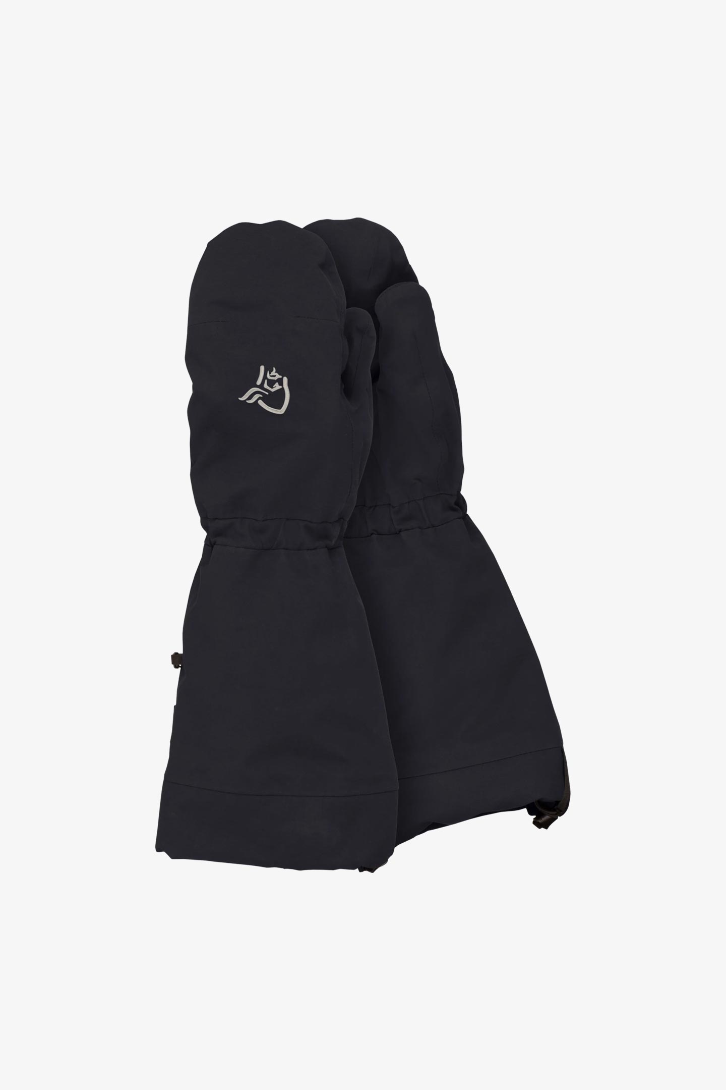 arktis Gore-Tex Ousland edition Mittens | フルマークスストア-北欧